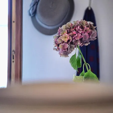 Apartman Casa Anna Relax *
