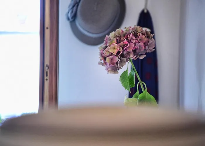 Appartement Casa Anna Relax *